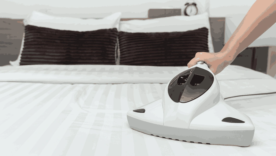 Professional Mattress Cleaning Greendale